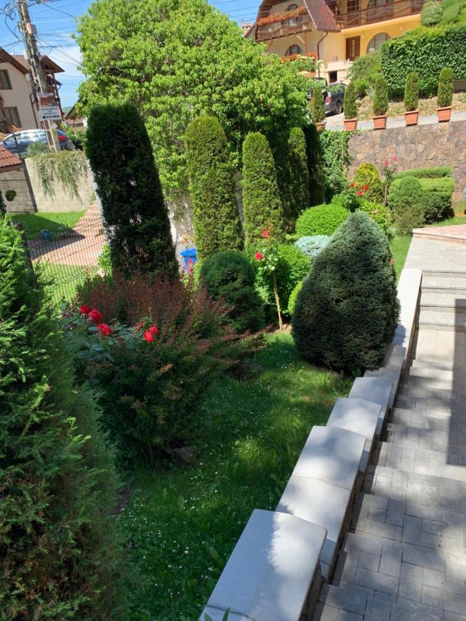 Bed and Breakfast Pensiunea Eva Совата Экстерьер фото
