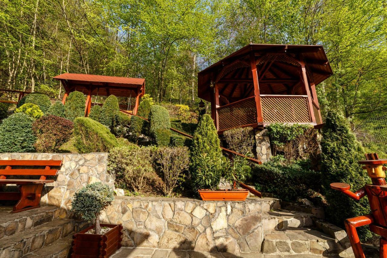 Bed and Breakfast Pensiunea Eva Совата Экстерьер фото