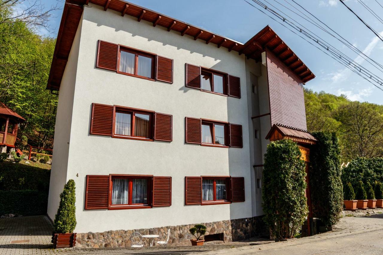 Bed and Breakfast Pensiunea Eva Совата Экстерьер фото