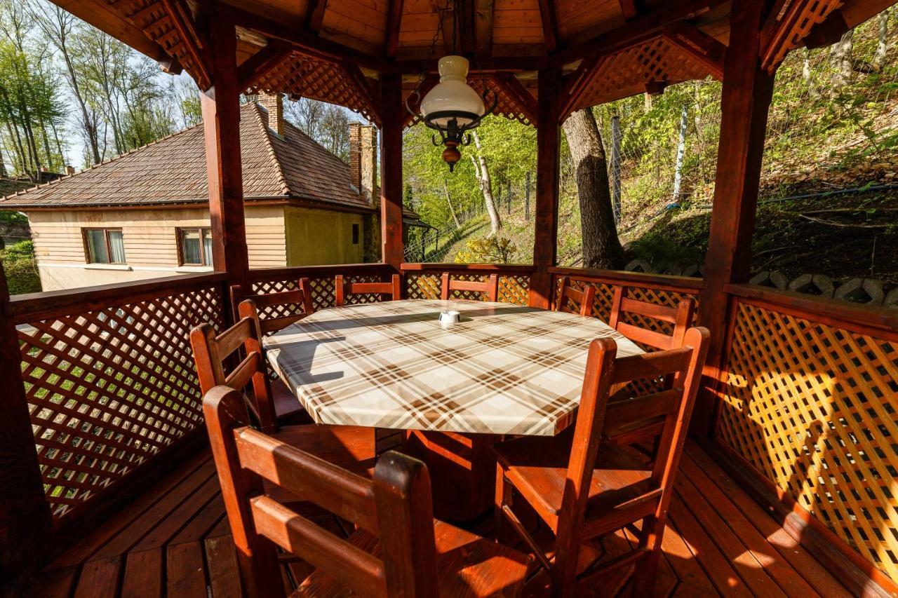 Bed and Breakfast Pensiunea Eva Совата Экстерьер фото